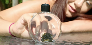 LUMATITE Colorful Ferrofluid in a Bottle (100 mL)
